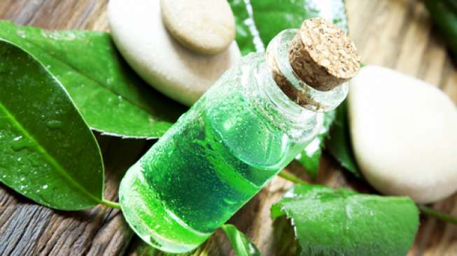 Ini Manfaat Tea Tree Oil di Rumah