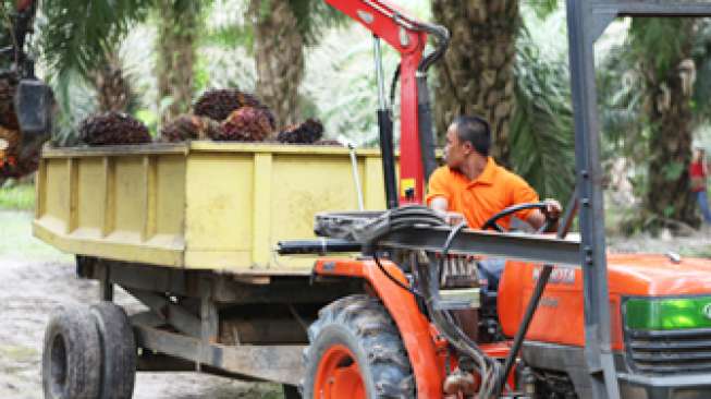 Grup Rajawali Diperkirakan Lanjukan Divestasi