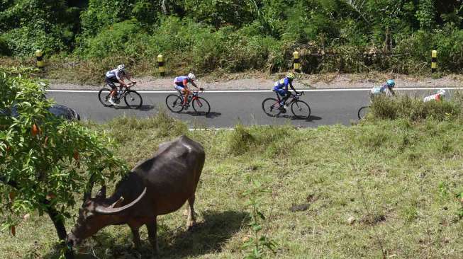 Etape Tiga Tour de Flores