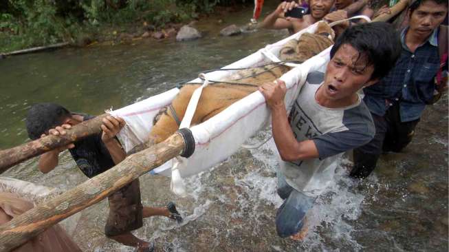 Evakuasi Harimau Sumatera