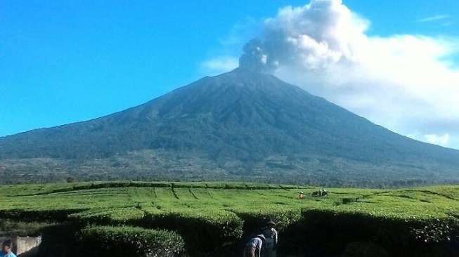 Potensi Meletus, Proyek Jalur Evakuasi Gunung Kerinci Tak Jelas