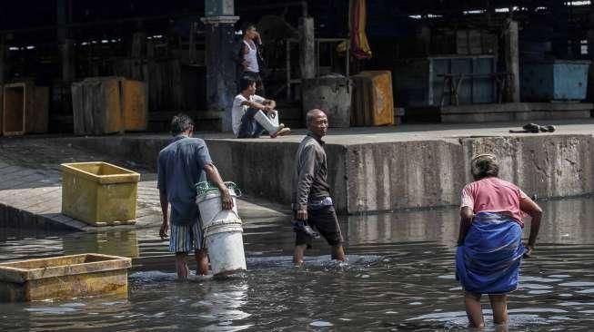 Banjir Rob di Muara Baru