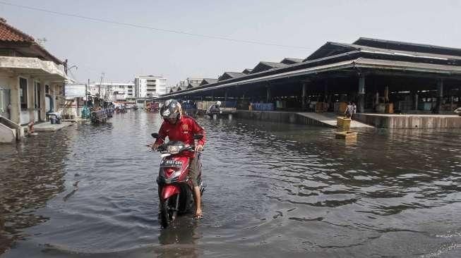 Banjir Rob di Muara Baru