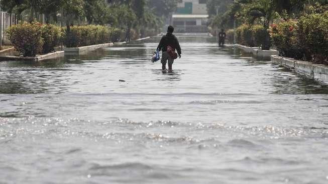 Air Laut Naik, Banjir Rob Genangi Kamal Jakarta Barat