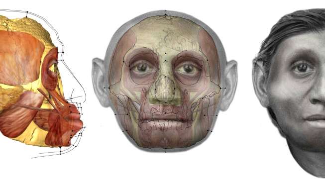 Temuan Fosil di Flores Kuak Misteri Asal-usul Hobit