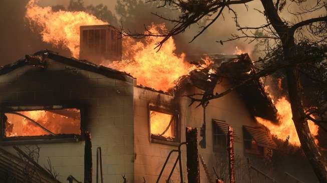 Dua Orang Tewas di Kebakaran Lahan California