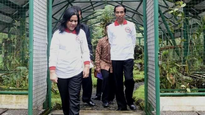 Ketika Jokowi dan Keluarga Menikmati Minggu Sore di Cipanas