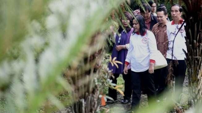 Presiden Joko Widodo (Jokowi) dan keluarga saat berjalan-jalan di sekitar kawasan Istana Cipanas, Jawa Barat, Minggu (26/6/2016), termasuk ke Kebun Raya Cibodas dan berbelanja di Pasar Cipanas. [Suara.com/Erick Tanjung]