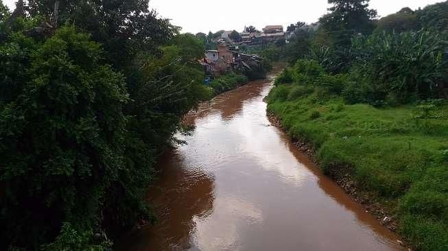 Di Sungai Ciliwung Akan Ada Transportasi Publik?