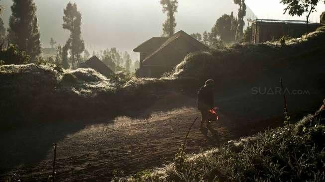 Bromo Siaga, Radius 2,5 Km Harus Bebas Manusia