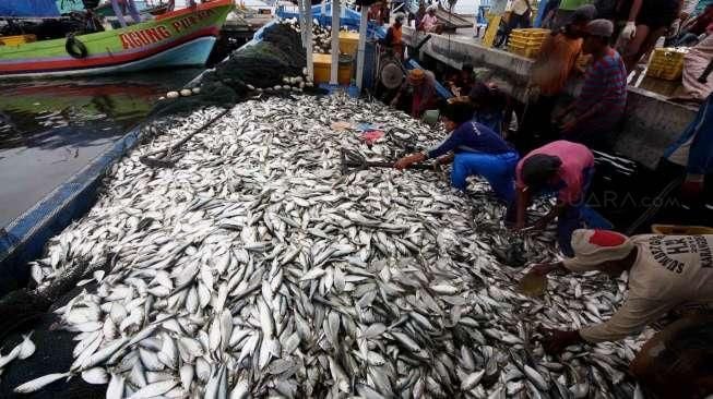 Suasana Pasar Ikan di Muara Angke, Jakarta, Jumat (5/8). [Suara.com/Oke Atmaja]