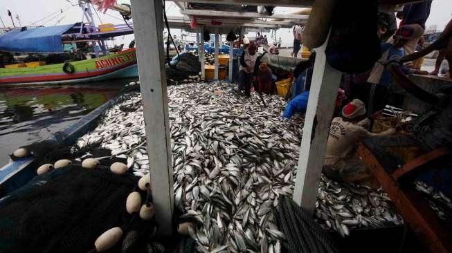 Suasana Pasar Ikan di Muara Angke, Jakarta, Jumat (5/8). [Suara.com/Oke Atmaja]