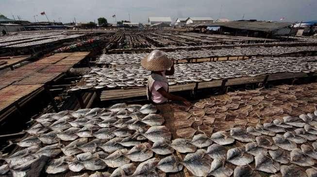 Suasana Pasar Ikan di Muara Angke, Jakarta, Jumat (5/8). [Suara.com/Oke Atmaja]