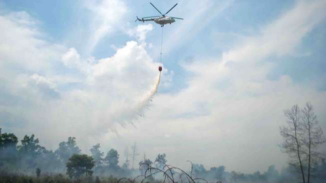 15 Pesawat Padamkan Kebakaran Hutan Sumatera