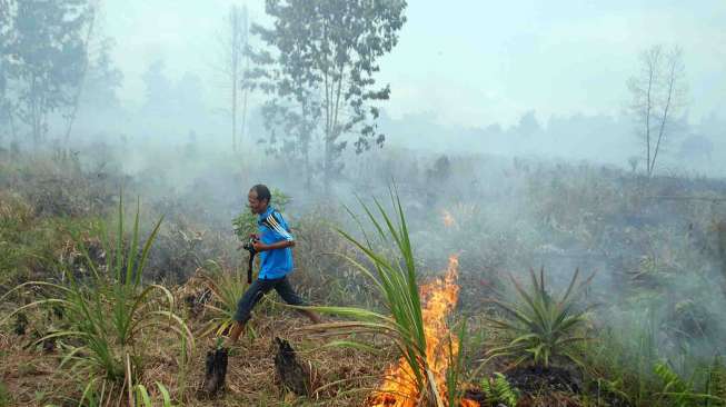 Sehari, "Hotspot" Kebakaran Hutan Sumatera Turun 283 Titik