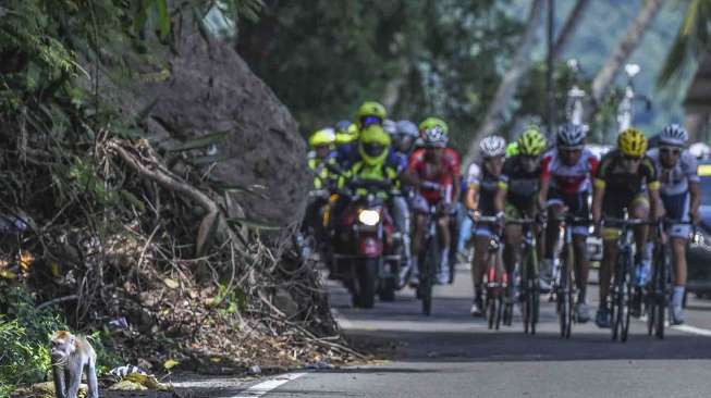 Pandemi Belum Berakhir, Tour de Singkarak 2021 Batal Digelar