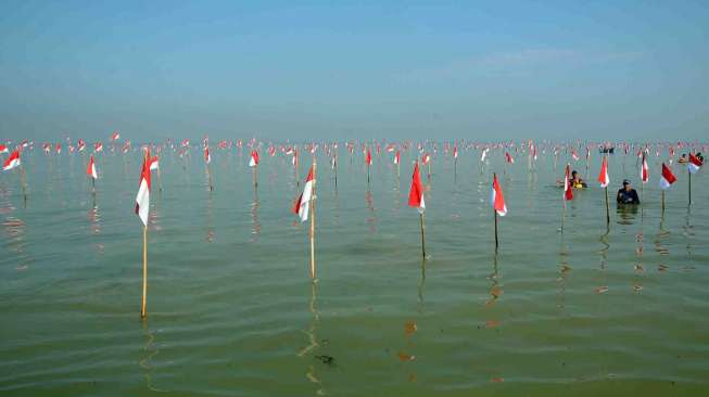 Pengibaran 1000 Bendera Merah Putih