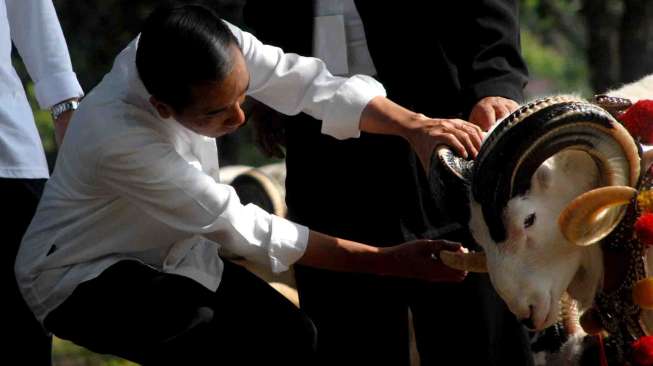 Kontes Domba Garut dan Kambing Piala Kemerdekaan. 