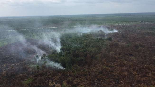 Walhi Riau Ajukan Praperadilan SP3 Kasus Karhutla