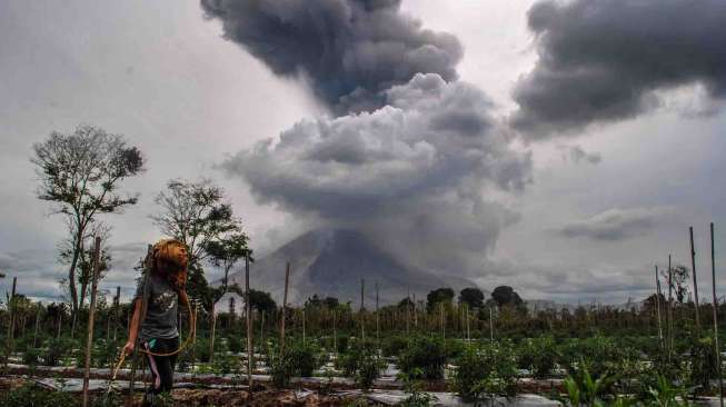 Gunung Sinabung Kembali Erupsi