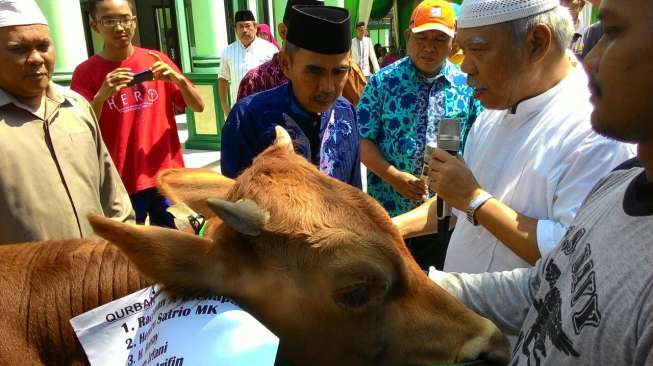 Menteri PUR Saksikan Penyembelihan Hewan Qurban di Komplek PUPR