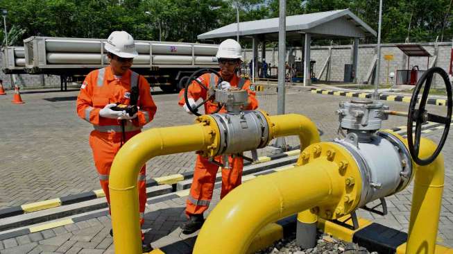 Harga Gas Murah PGN Bawa Berkah ke 7 Sektor Industri