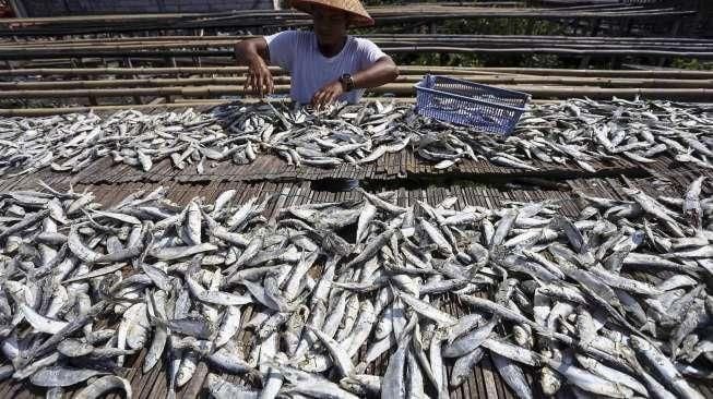 Menyantap Lezatnya 3 Ikan Asin Paling Populer di Indonesia