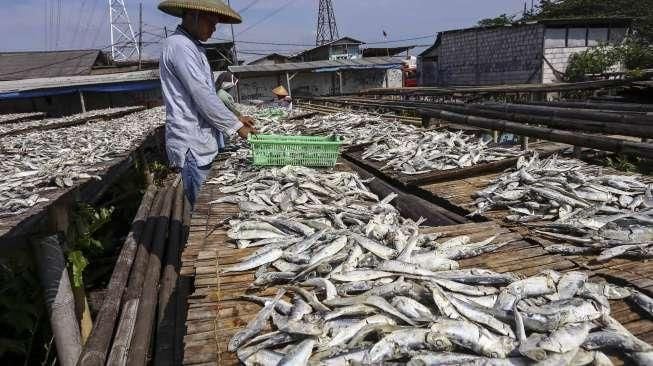 Produksi Ikan Asin Meningkat