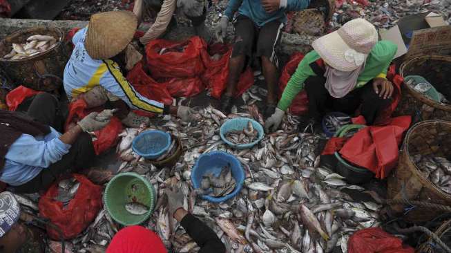 Kapasitas dan Kualitas Ikan Tangkapan Nelayan