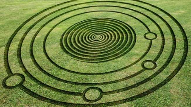 Heboh, Muncul "Crop Circle" Berbentuk Vagina di Prancis