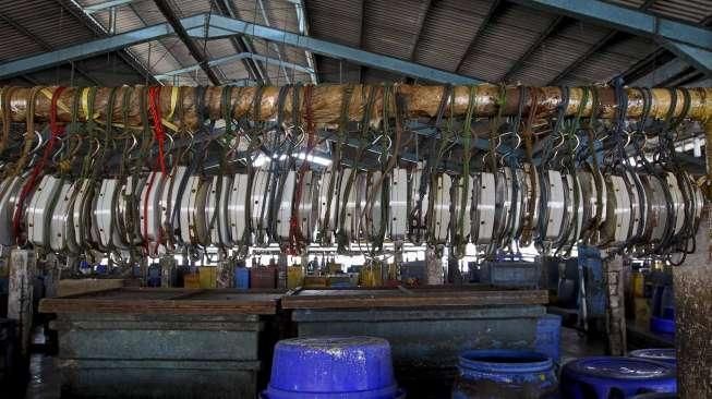 Nelayan Muara Baru Mogok Melaut