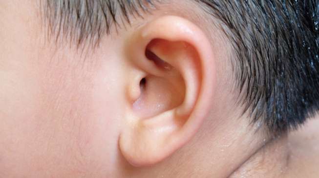 Ilustrasi telinga anak (shutterstock)