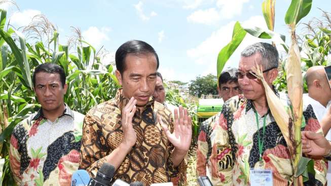 Jokowi Prediksi Kompetisi antar Negara akan Rebutkan Pangan