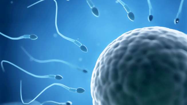 Viral Pernyataan KPAI, Sebenarnya Berapa Lama Sperma Hidup di Luar Rahim? - 1