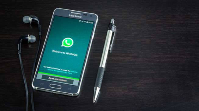 Aplikasi WhatsApp pada sebuah ponsel Android (Shutterstock).