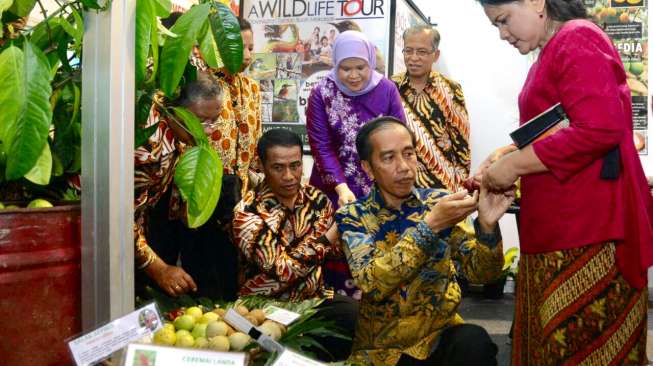 Presiden Jokowi Berharap Produksi Buah Tahun Ini Naik