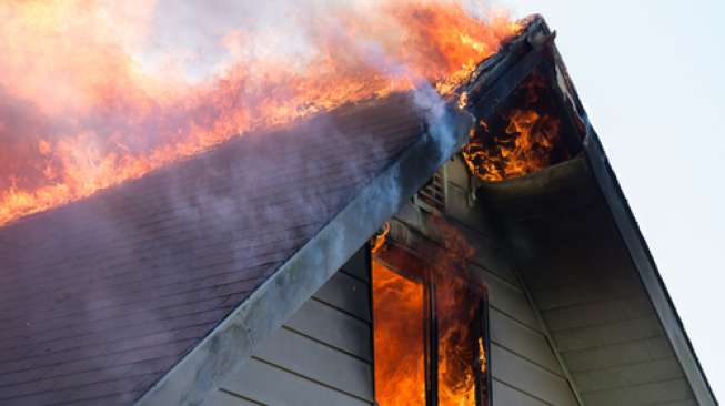 Kandang Terbakar, Dua Sapi Ikut Terpanggang