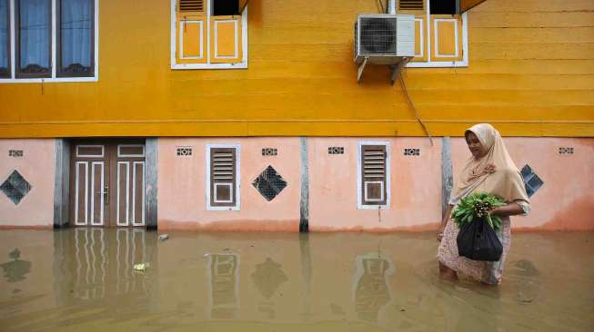 305 desa di Provinsi Jambi berstatus rawan banjir