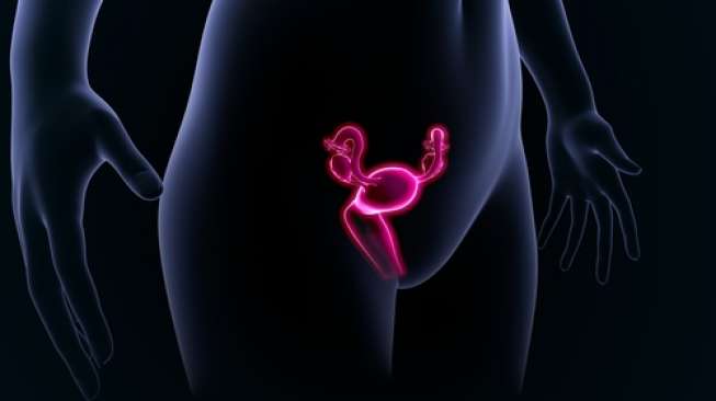 Ilustrasi perempuan punya 2 organ reproduksi (shutterstock)