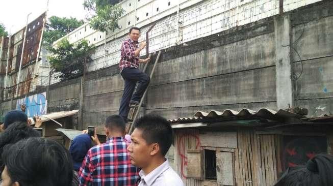 Ahok Naik Tangga Lihat Sungai di Gang Asem yang Ditembok