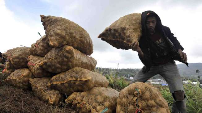 Selanjutnya akan dipasarkan dengan harga Rp10 ribu per kilogram.