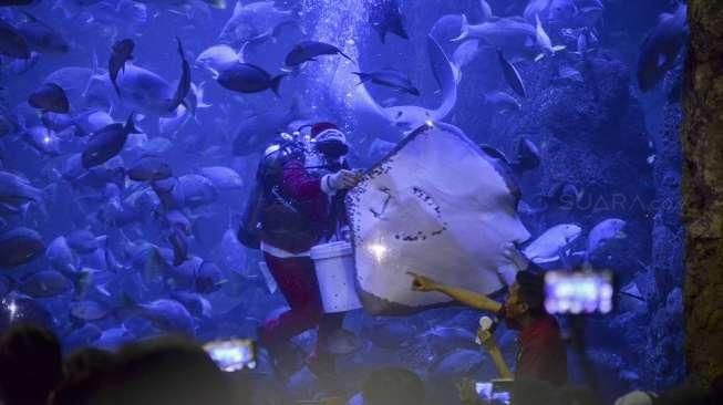 Viral! Liburan ke Sea World, Cewek Cantik Ini Nyaris Dapat Jodoh Penyelam