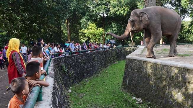 Ada Sidang Ahok, Pintu Masuk ke Bonbin Ragunan Dialihkan