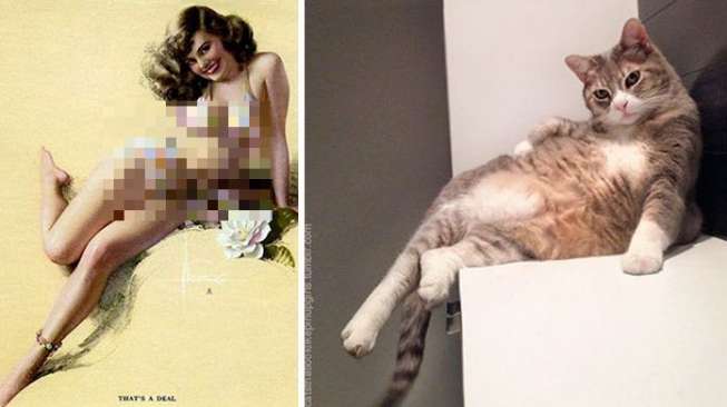 Kocak! Kucing-kucing Ini Tiru Pose Seksi Gadis Pin Up