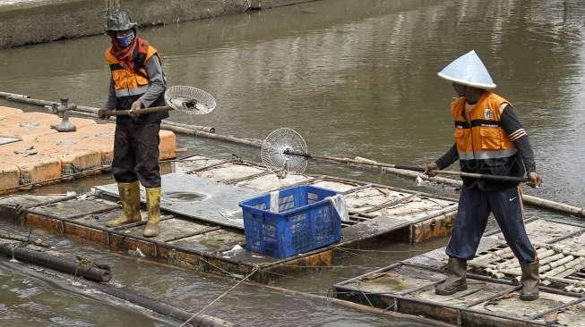 Dilakukan untuk mengantisipasi banjir.