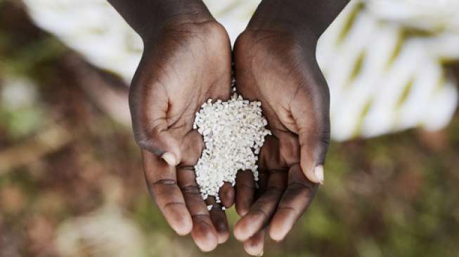 Seorang anak Afrika menadah beras sebagai simbol kelaparan. [shutterstock]