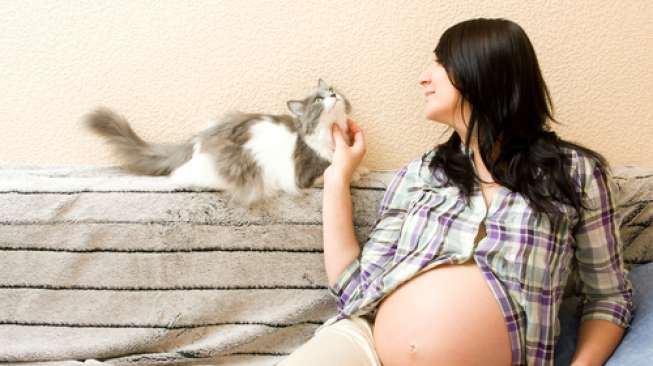 Ilustrasi ibu hamil yang memelihara kucing. (Shutterstock)