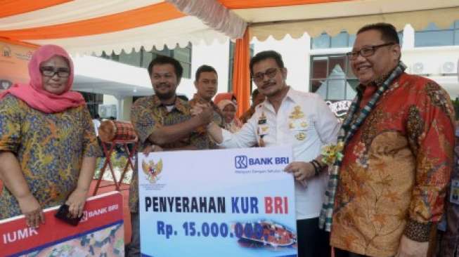 Penyaluran KUR 2016 Gagal Capai Target, Ini Dalih Pemerintah