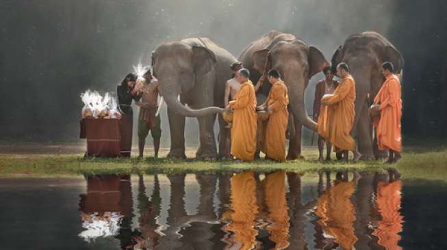 Makin Langka, Puluhan Gajah Diarak di Laos