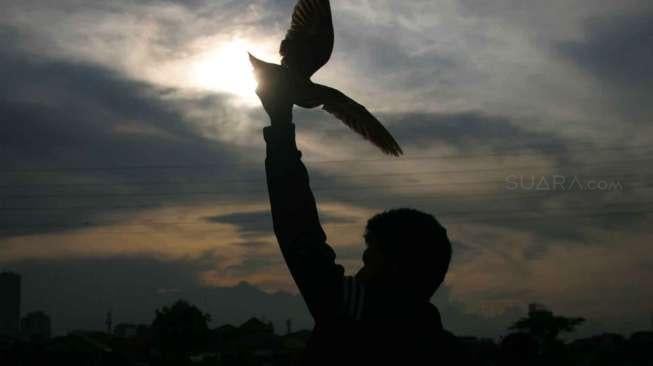 Penggemar burung Merpati balap melatih ketangkasan peliharaannya di kawasan Pertamburan, Tanah Abang, Jakarta, Rabu (1/3)